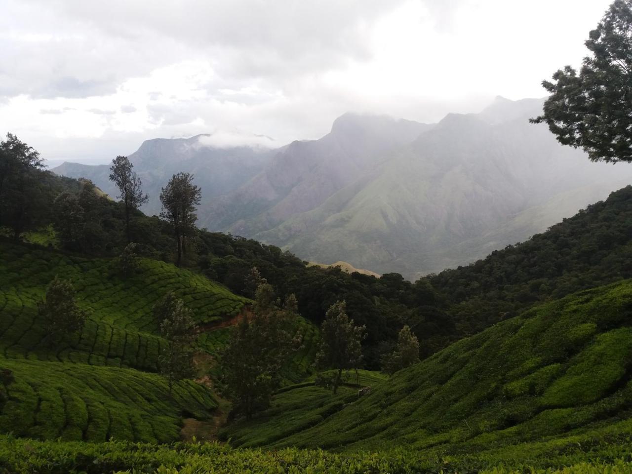 Monsoon Grande Munnar Exterior foto